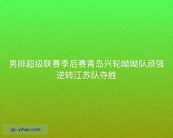 男排超级联赛季后赛青岛兴轮呦呦队顽强逆转江苏队夺胜